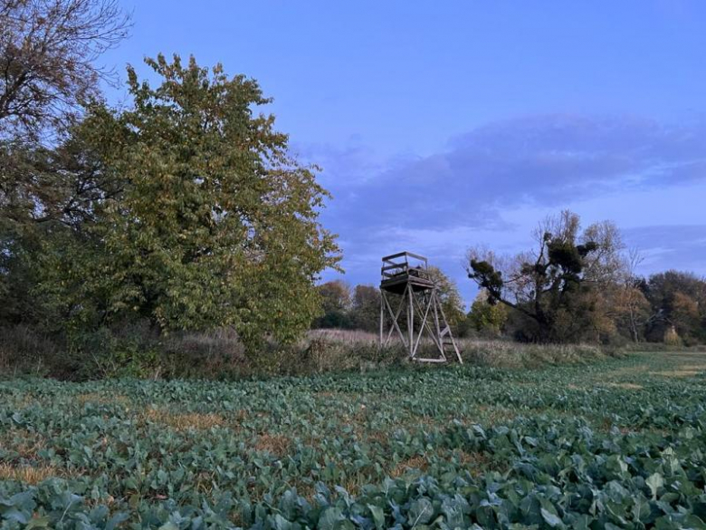 Tereny inwestycyjne na terenie Gminy Środa Śląska