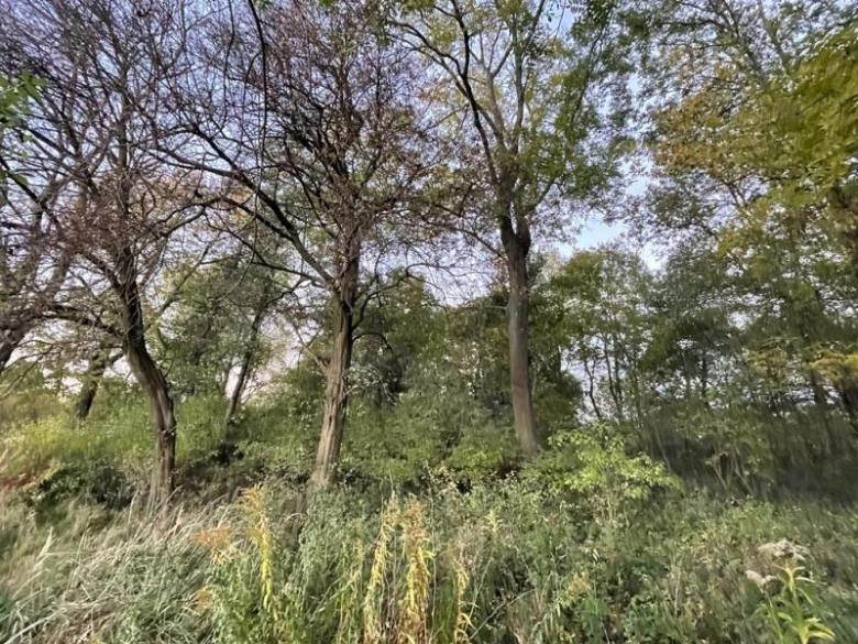 Tereny inwestycyjne na terenie Gminy Środa Śląska