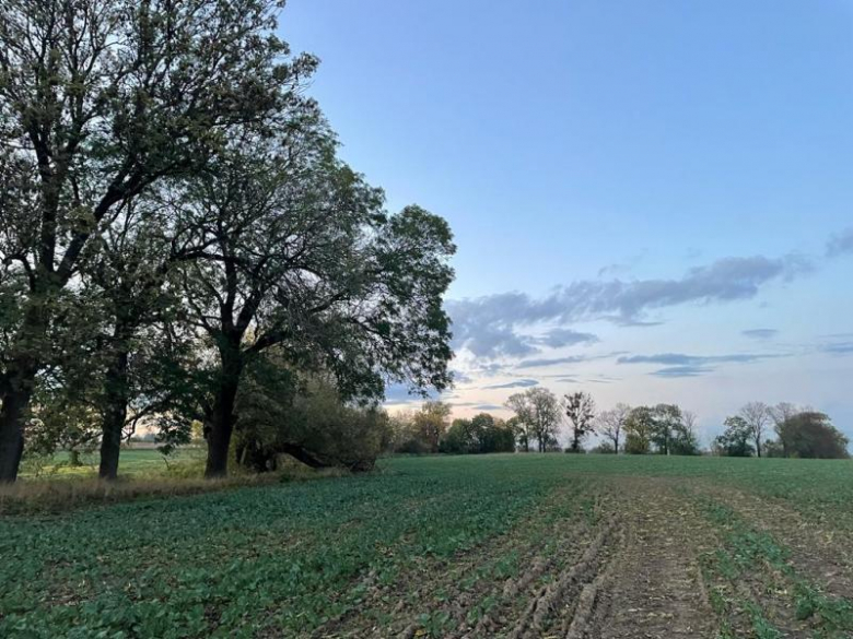 Tereny inwestycyjne na terenie Gminy Środa Śląska