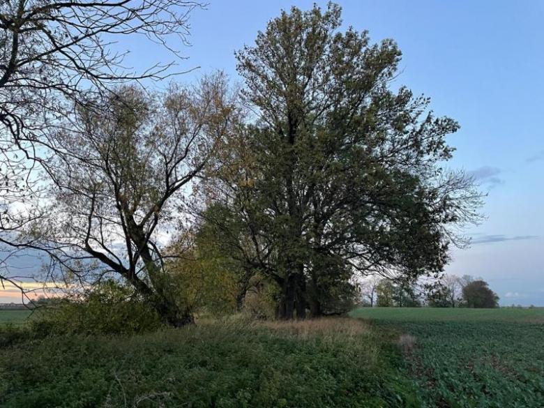 Tereny inwestycyjne na terenie Gminy Środa Śląska