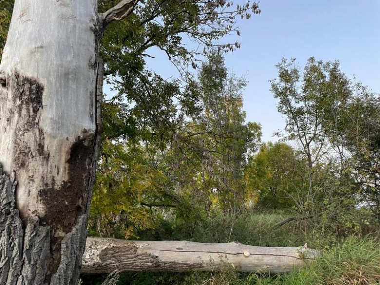 Tereny inwestycyjne na terenie Gminy Środa Śląska