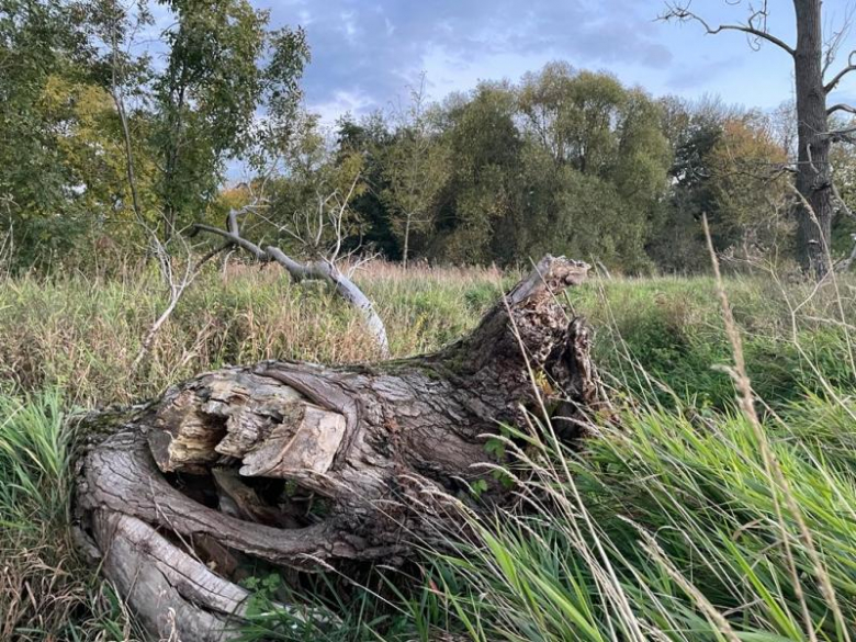 Tereny inwestycyjne na terenie Gminy Środa Śląska
