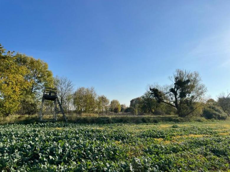 Tereny inwestycyjne na terenie Gminy Środa Śląska