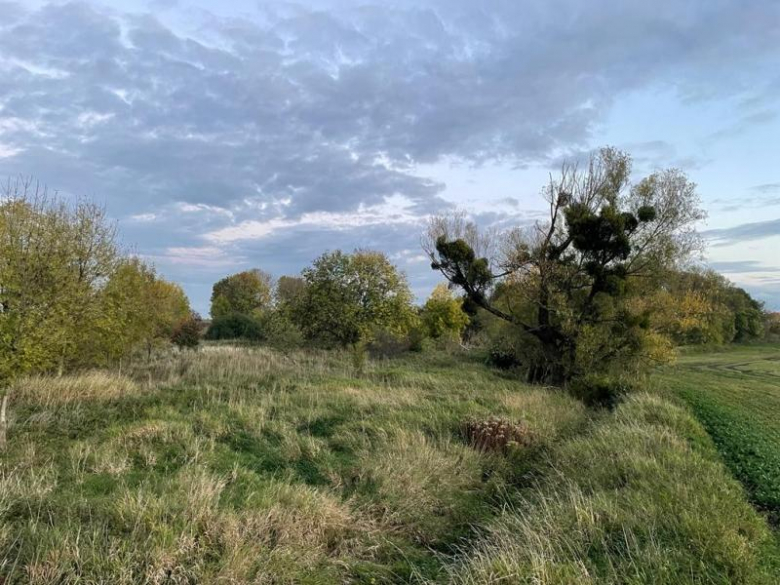 Tereny inwestycyjne na terenie Gminy Środa Śląska