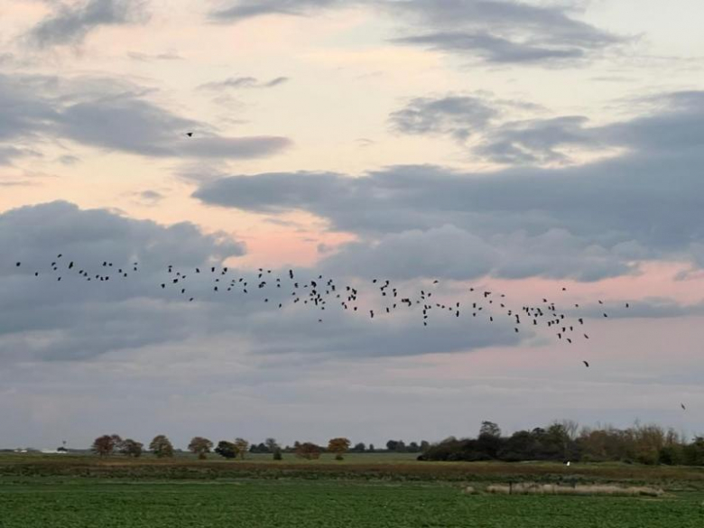 Tereny inwestycyjne na terenie Gminy Środa Śląska