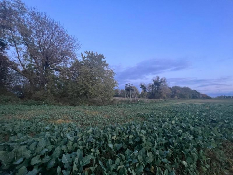 Tereny inwestycyjne na terenie Gminy Środa Śląska