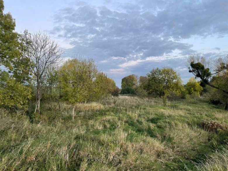 Tereny inwestycyjne na terenie Gminy Środa Śląska