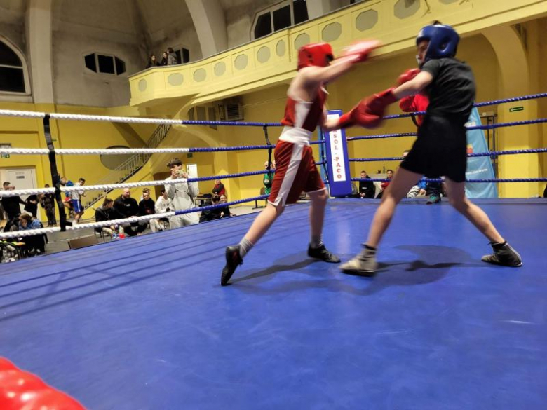 Bokserzy Glory Środa Śląska na międzynarodowym turnieju w Świdnicy