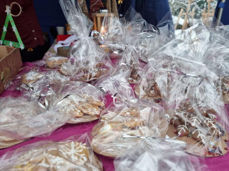 Jarmark Bożonarodzeniowy w Malczycach