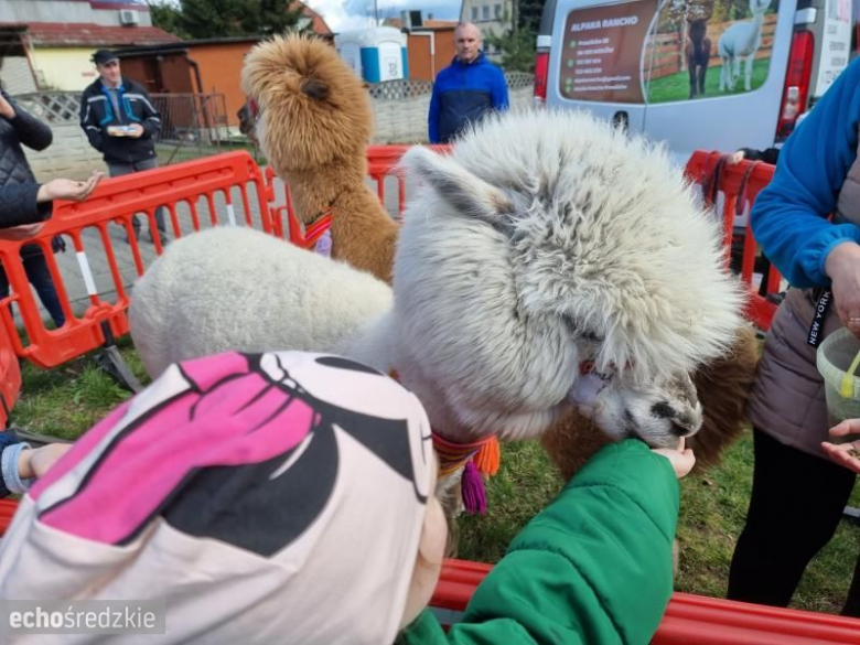 Kiermasz Wielkanocny w Malczycach