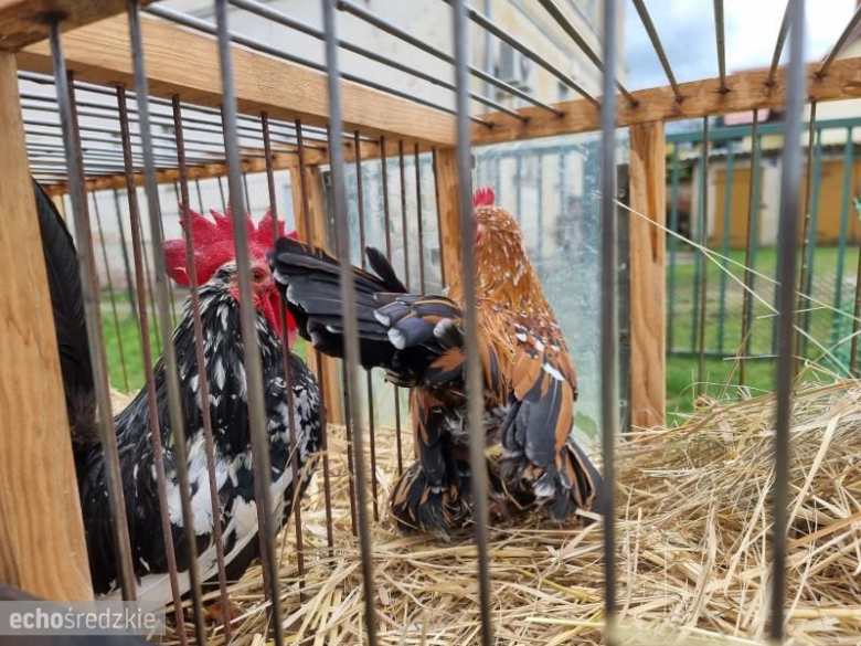 Kiermasz Wielkanocny w Malczycach