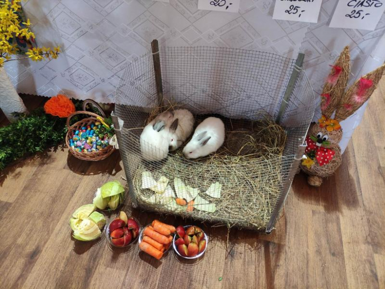 Niedziela Palmowa w Mieczkowie