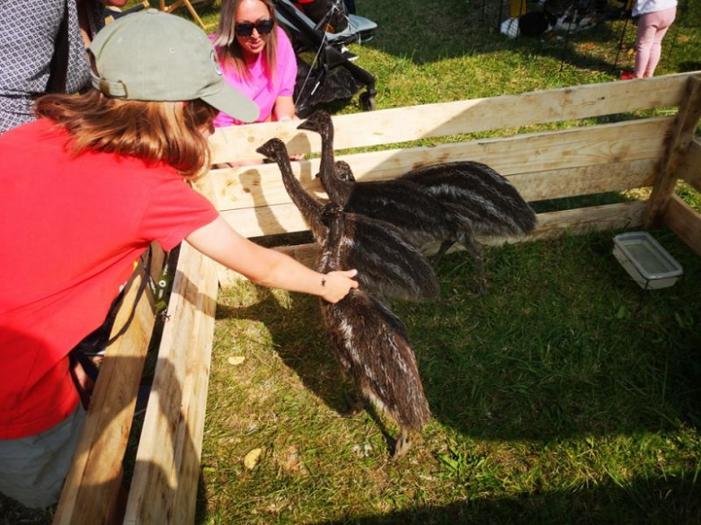 Dzień Diecka w Miękini