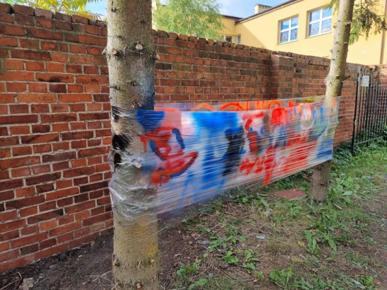 Dzień Ziemniaka w Malczycach