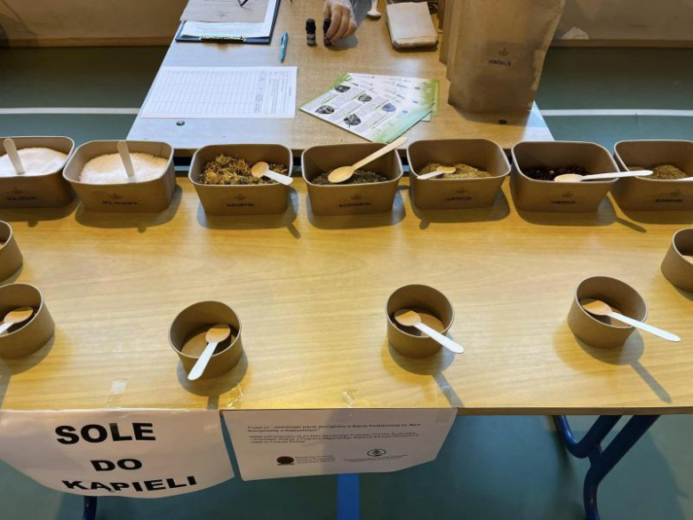 Piknik ekologiczny w Kostomłotach