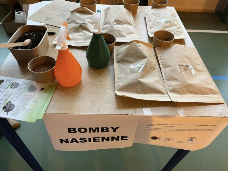 Piknik ekologiczny w Kostomłotach