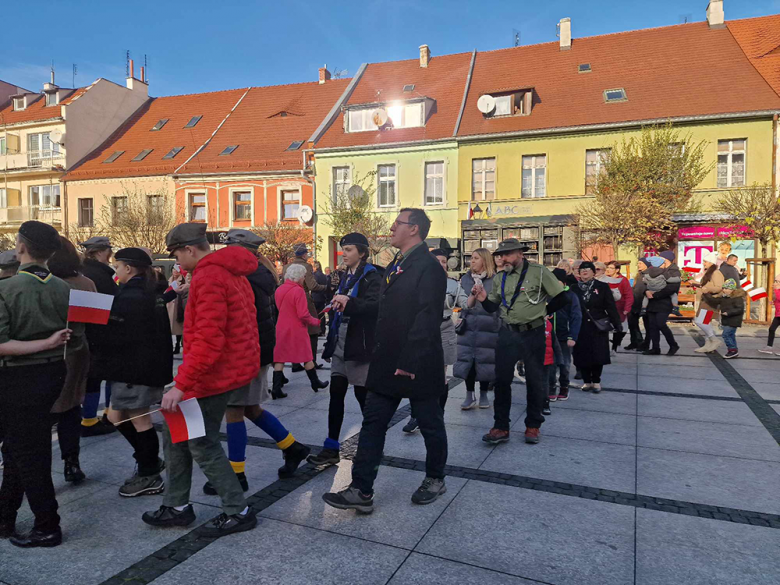 Uroczyste obchody Święta Niepodległości w Środzie Śląskiej