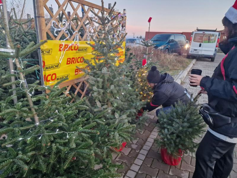 Kiermasz Bożonarodzeniowy w Wilkszynie