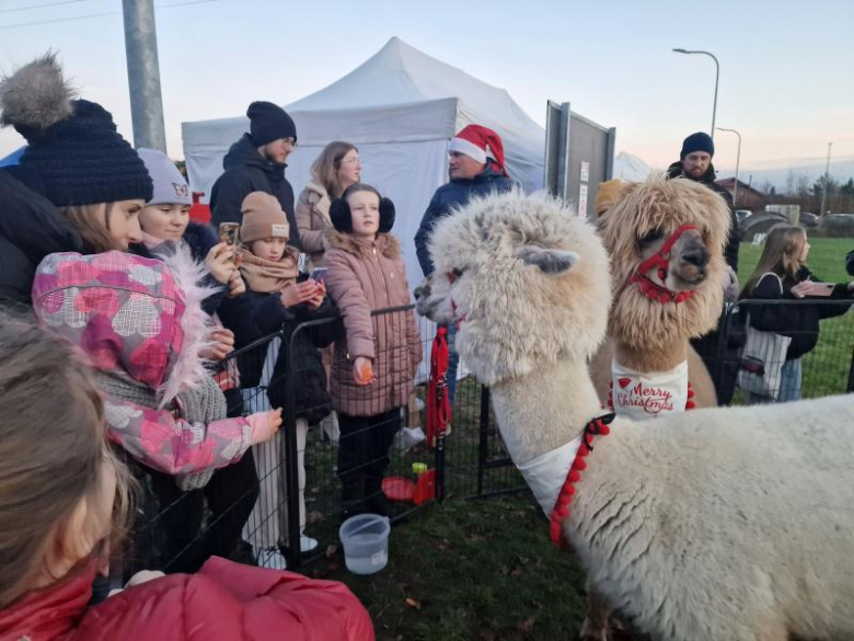 Kiermasz Bożonarodzeniowy w Wilkszynie