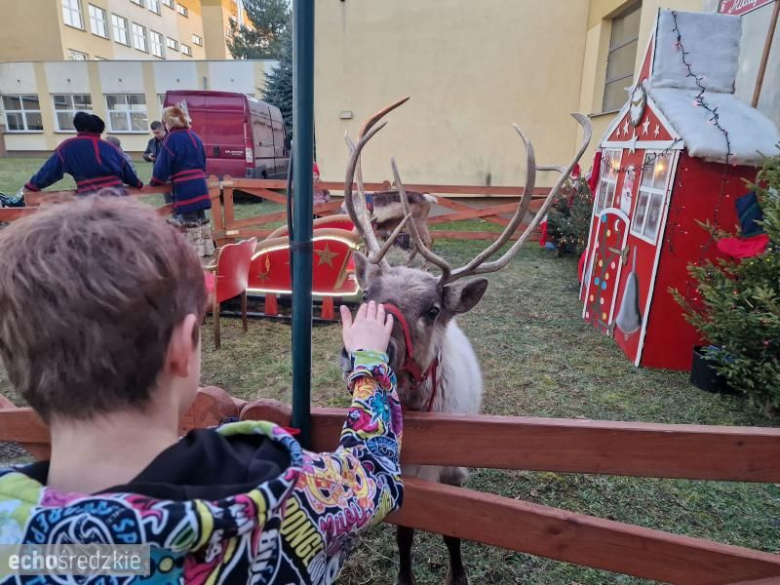 Mnóstwo atrakcji podczas finału WOŚP w Miękini