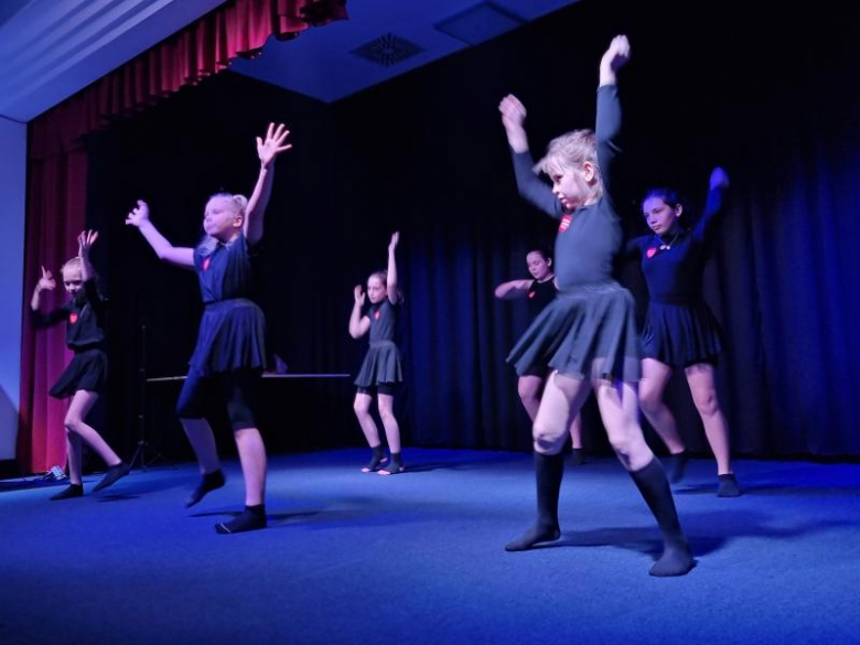 Wielka Orkiestra Świątecznej Pomocy w Malczycach