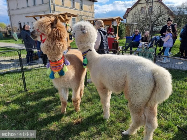 Kiermasz Wielkanocny w Malczycach