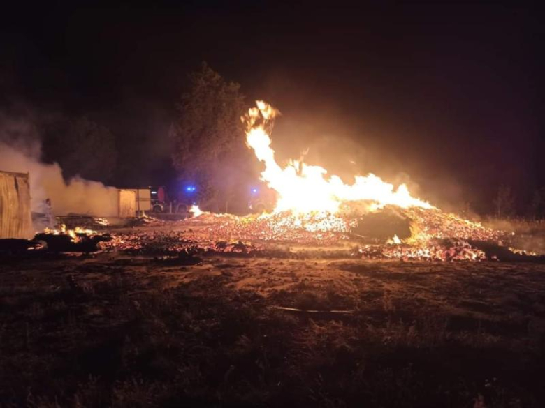 W Krępicach płonęła sterta palet. Ze względów bezpieczeństwa zamknięto drogę krajową