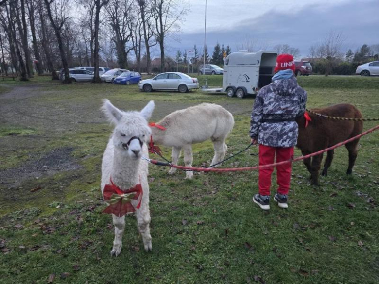 Kiermasz Bożonarodzeniowy w Lutyni