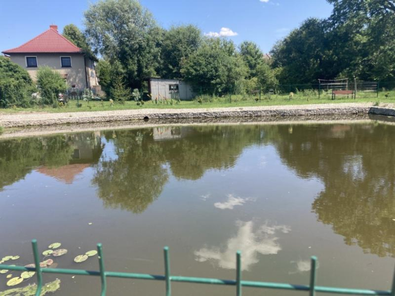 Podsumowanie programu „Aktywni na Ziemi Średzkiej 2025”