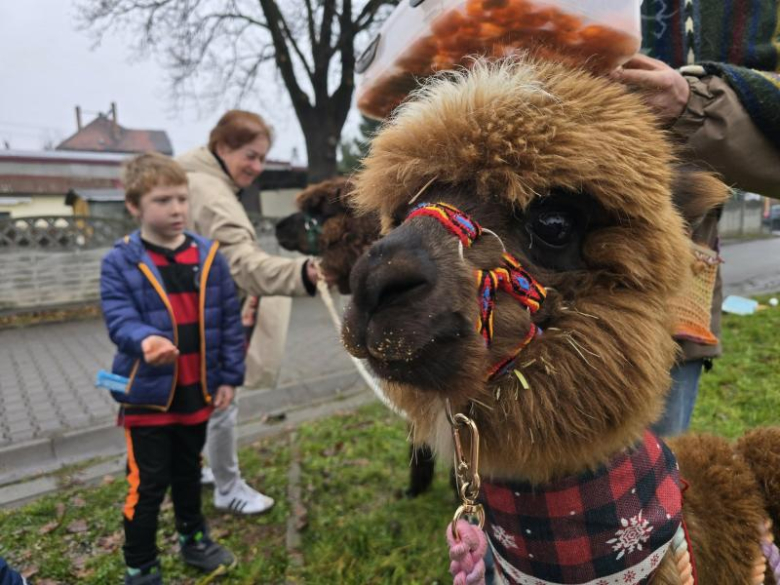 Jarmark Bożonarodzeniowy w Malczycach. Tradycyjne grudniowe spotkanie