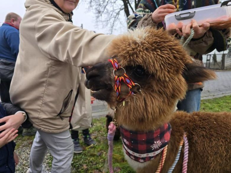Jarmark Bożonarodzeniowy w Malczycach. Tradycyjne grudniowe spotkanie