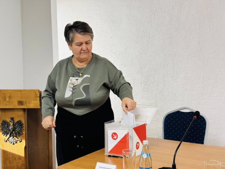 Sesja Rady Seniorów