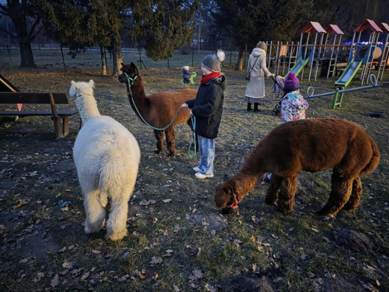 	Finał WOŚP w Miękini