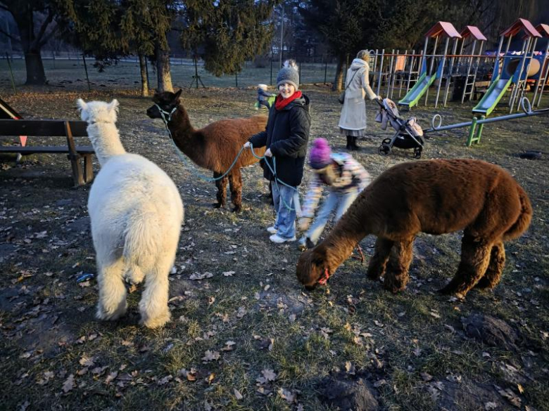 	Finał WOŚP w Miękini