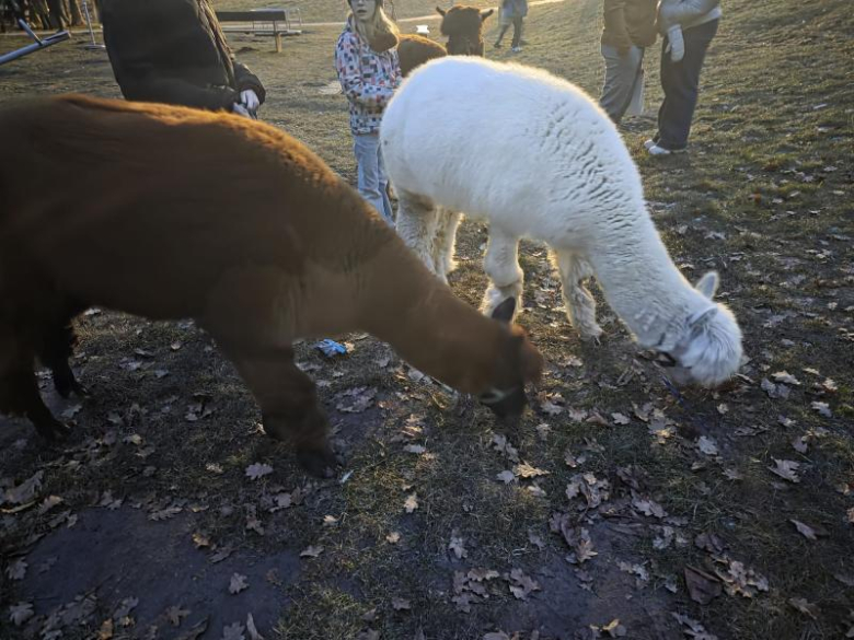 	Finał WOŚP w Miękini
