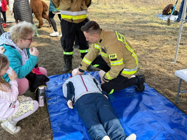 Wspólne sadzenie lasu