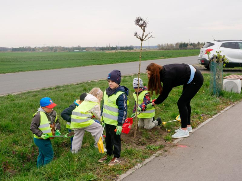 Nowe nasadzenia drzew