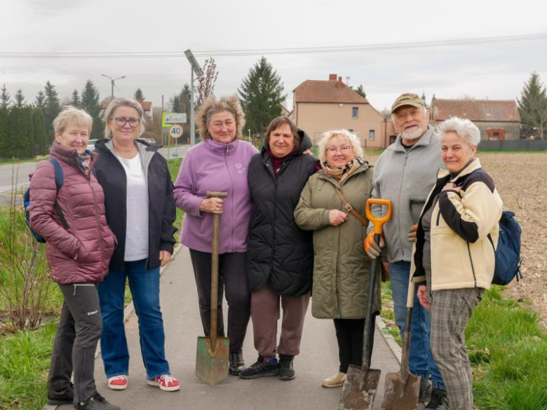 Nowe nasadzenia drzew