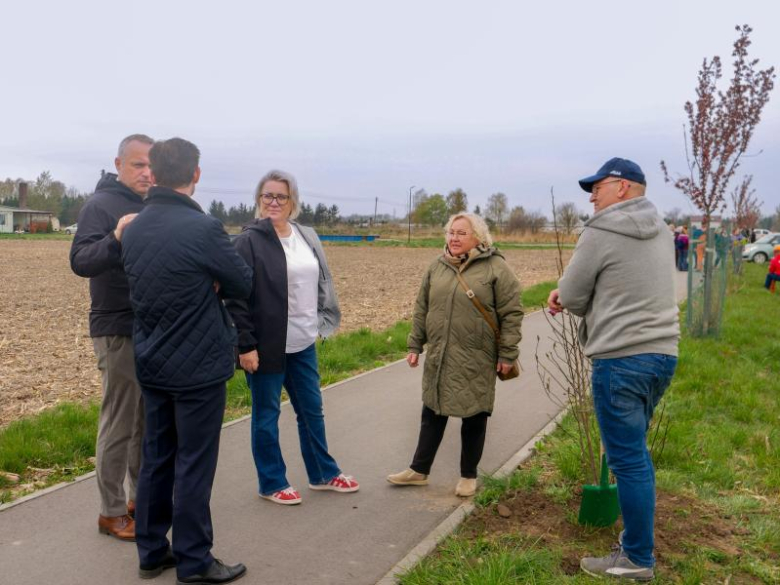 Nowe nasadzenia drzew