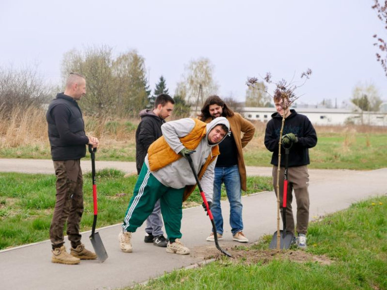 Nowe nasadzenia drzew
