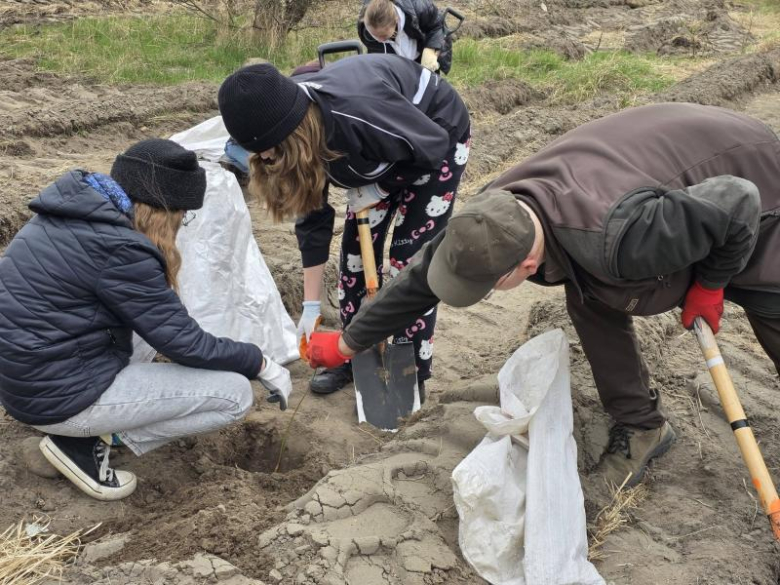 80 drzew na 80-lecie szkoły