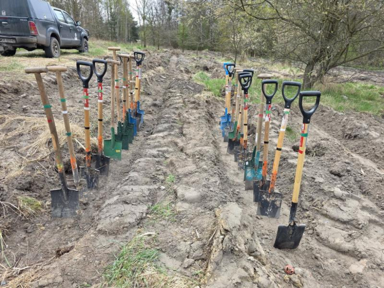 80 drzew na 80-lecie szkoły