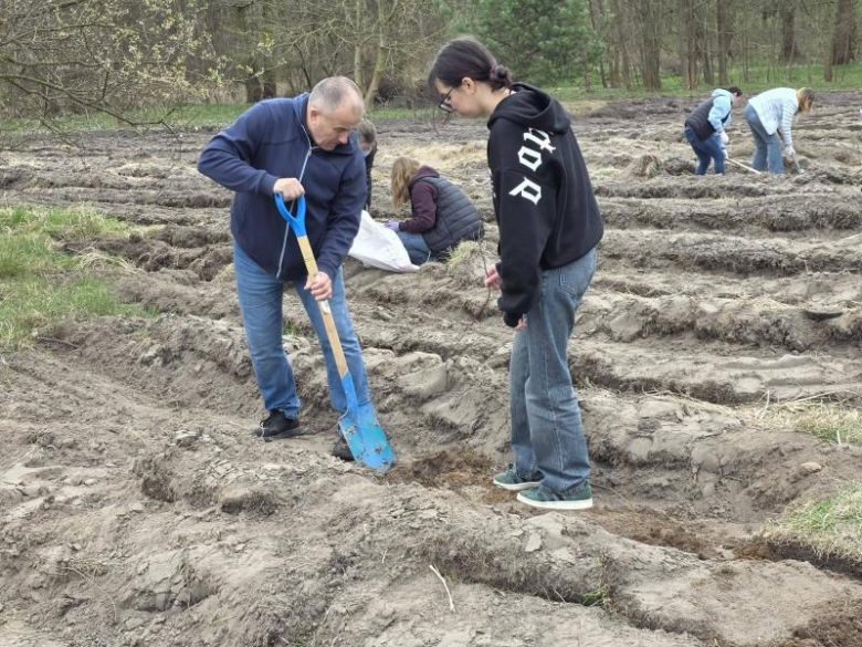80 drzew na 80-lecie szkoły