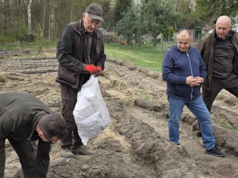 80 drzew na 80-lecie szkoły