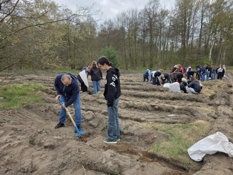 80 drzew na 80-lecie szkoły