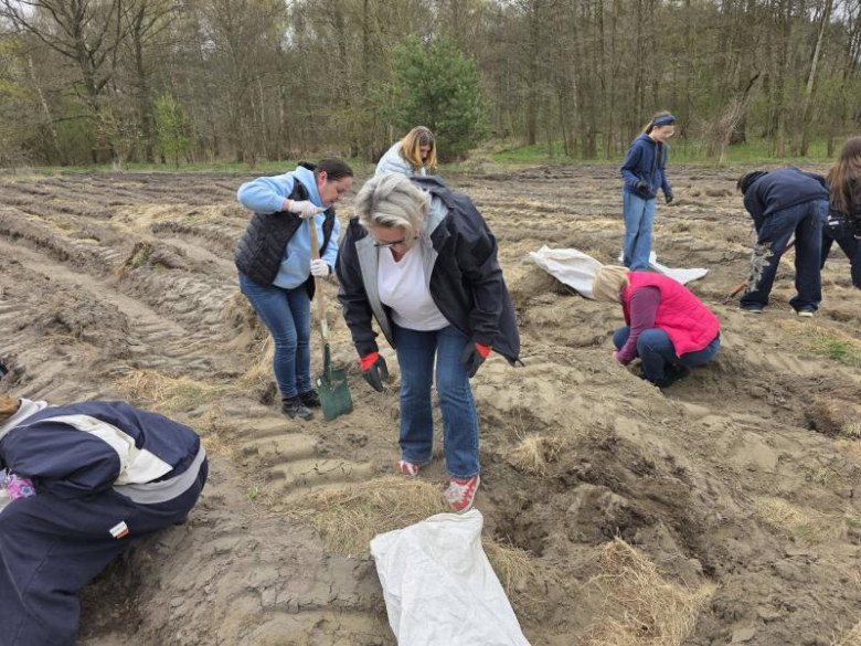 80 drzew na 80-lecie szkoły