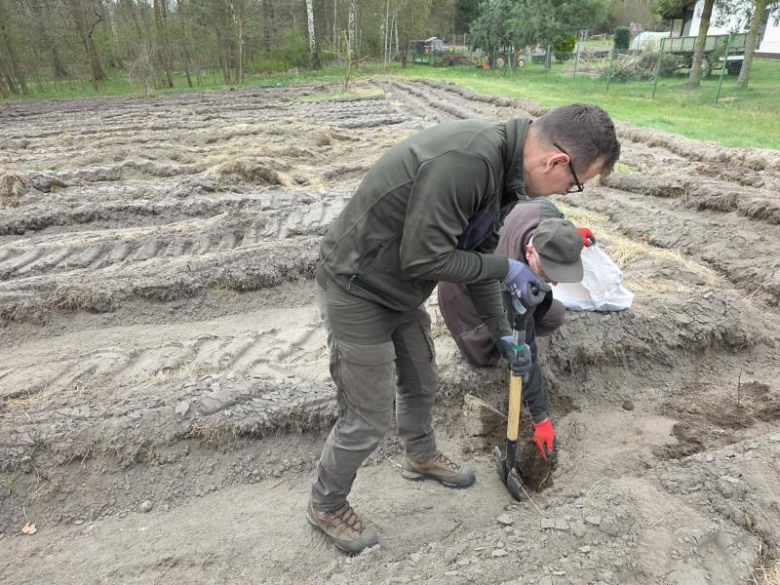 80 drzew na 80-lecie szkoły