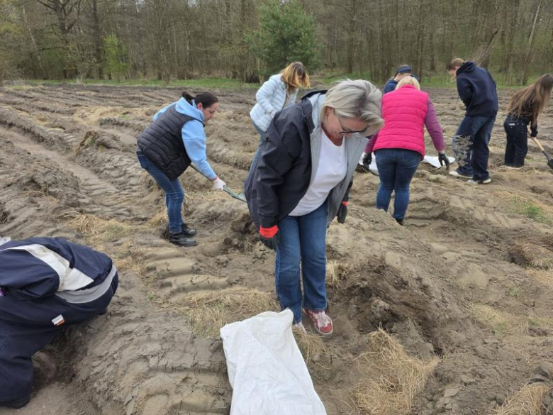 80 drzew na 80-lecie szkoły