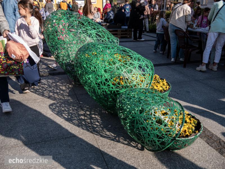 Dzień Ziemi na Rynku Dolnym w Środzie Śląskiej