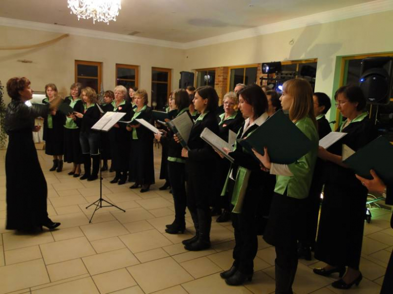 XIX Finał WOŚP w Malczycach